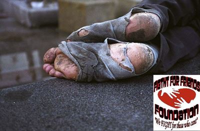 Give a helping hand this winter